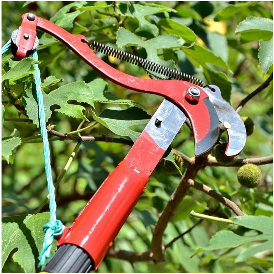 Tijeras Cortadoras De Rama Jardineria profesional